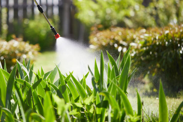 Tamper-Resistant Bait Stations for Rodents in Prineville Lake Acres