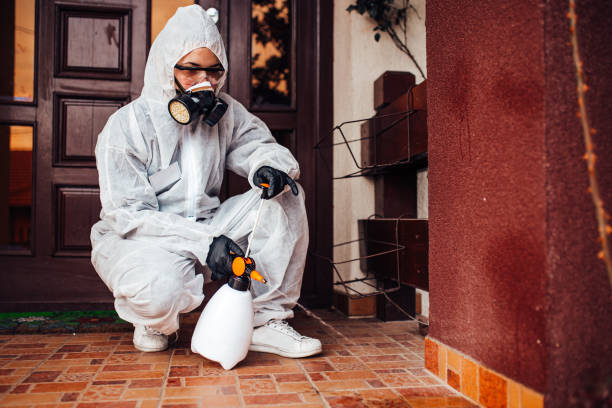 Attic and Crawl Space Rodent Treatment in Prineville Lake Acres