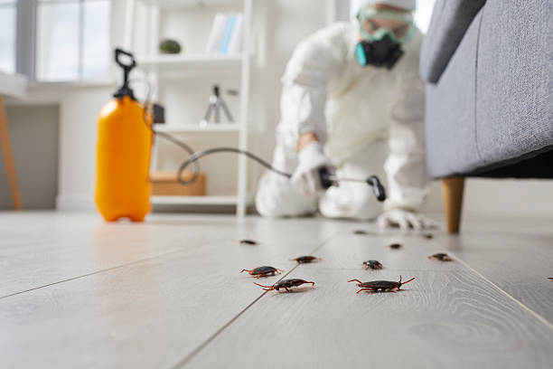 Commercial Rodent Management in Prineville Lake Acres